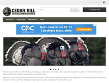 Tablet Screenshot of cedarhillgamecalls.com